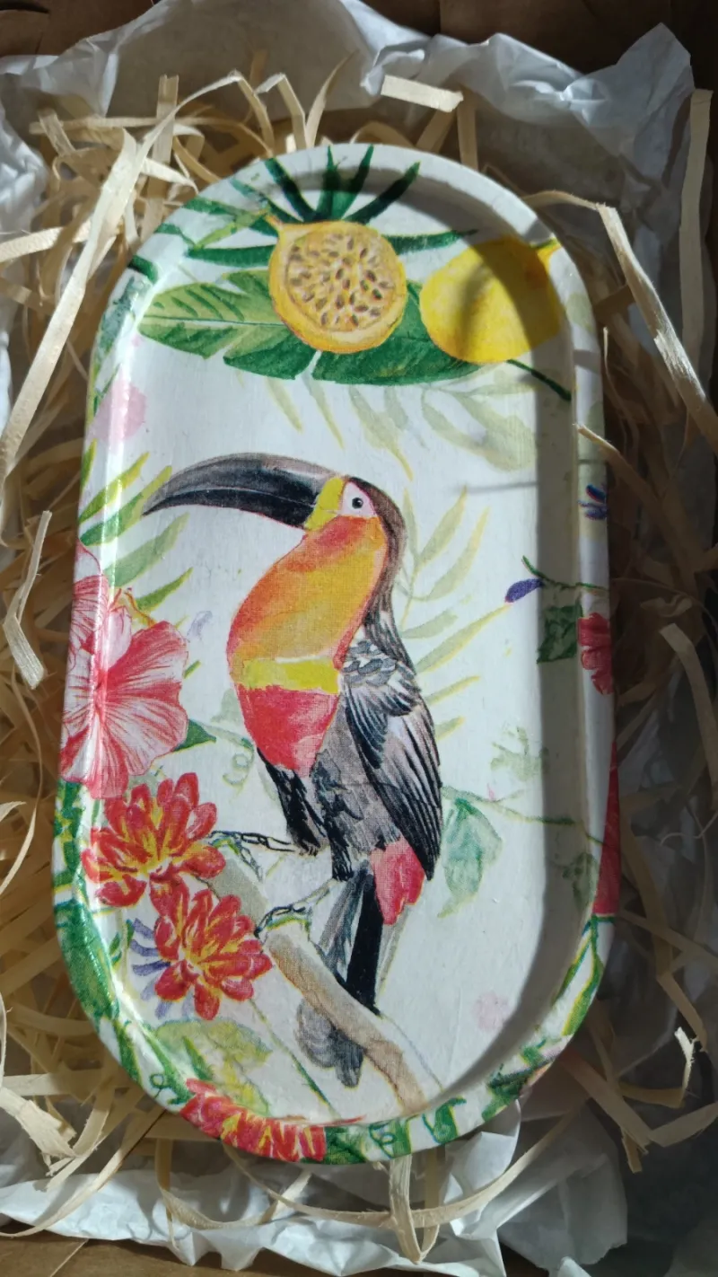 Bandeja de Gesso Brasil Tropical Tucano